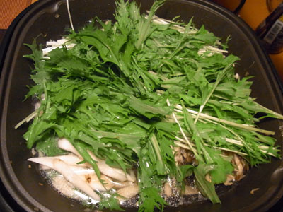 b0019140_16155399.jpg