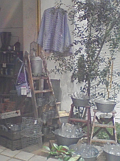 a0132041_1512148.jpg