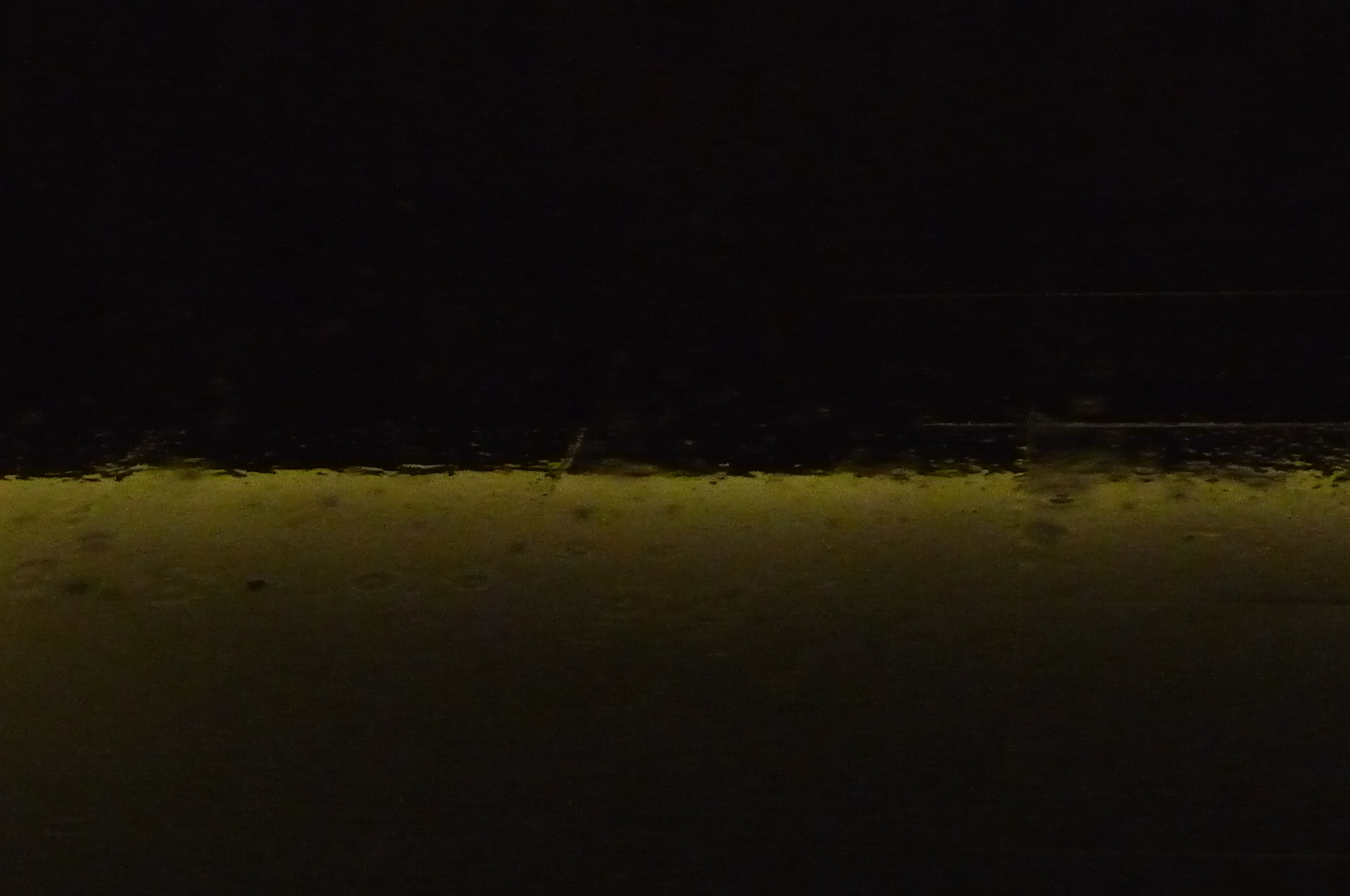 e0002850_2313379.jpg
