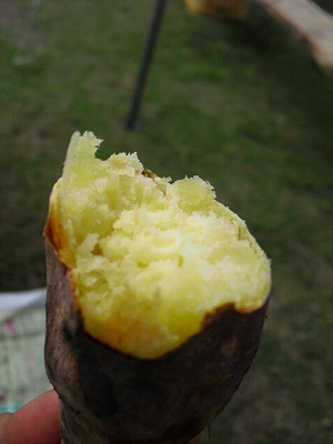 f0009451_8351516.jpg