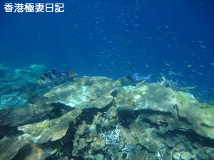 f0190653_20132450.jpg
