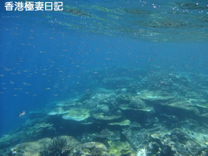 f0190653_2081158.jpg