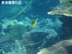 f0190653_2081527.jpg