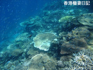 f0190653_2081957.jpg