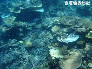 f0190653_2082595.jpg