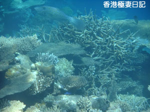 f0190653_2082929.jpg