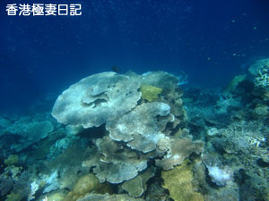 f0190653_208320.jpg