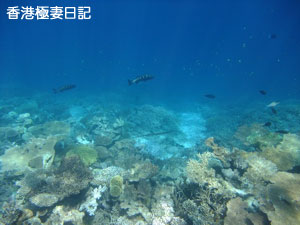 f0190653_2083237.jpg