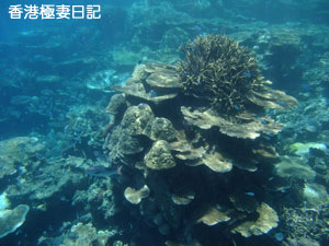 f0190653_2083828.jpg
