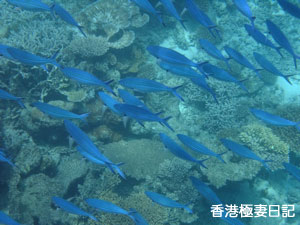 f0190653_2084776.jpg