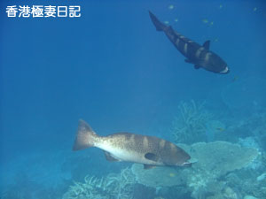 f0190653_208973.jpg