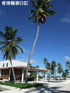 f0190653_838053.jpg