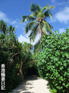 f0190653_839387.jpg
