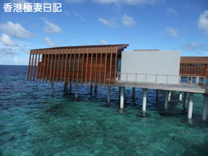 f0190653_8444476.jpg
