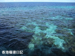 f0190653_8445587.jpg