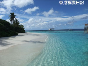 f0190653_844926.jpg
