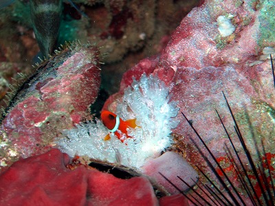 f0176156_17204788.jpg