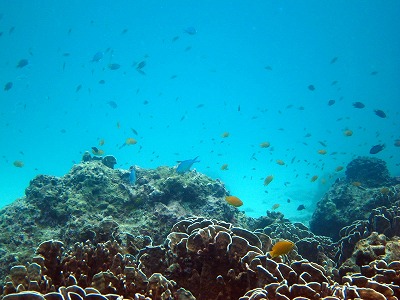 f0176156_17235879.jpg