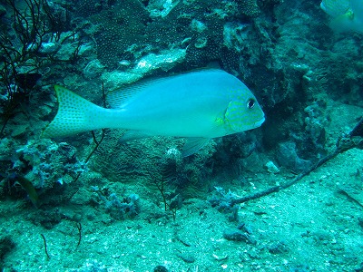 f0176156_17274491.jpg