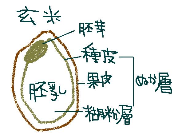 d0154957_21556100.jpg