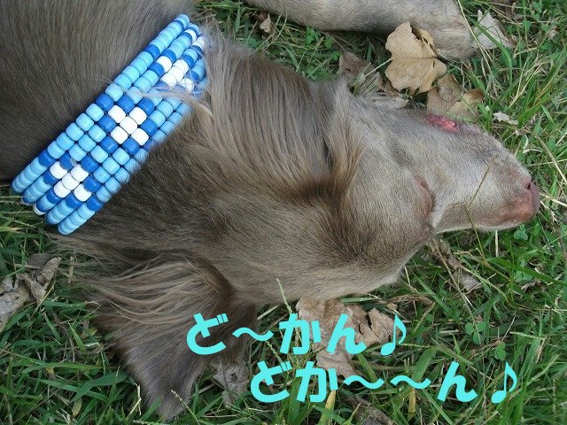 e0176159_23271870.jpg