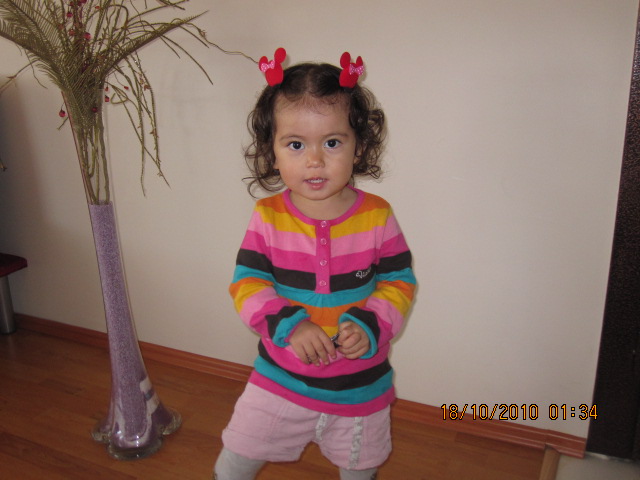 d0182063_6321879.jpg