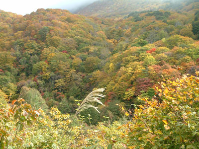 c0050264_10245688.jpg