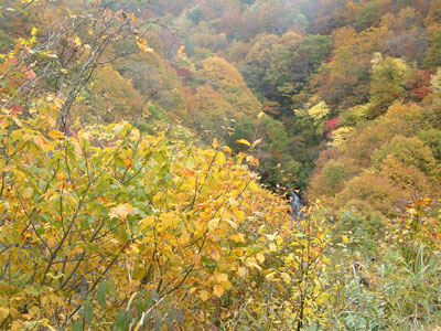 c0050264_10253275.jpg