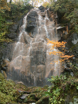 c0050264_1026329.jpg