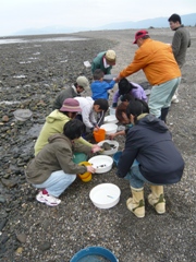 e0197164_1485076.jpg