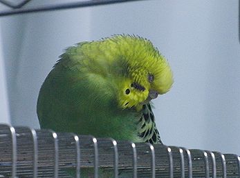 f0196665_072122.jpg