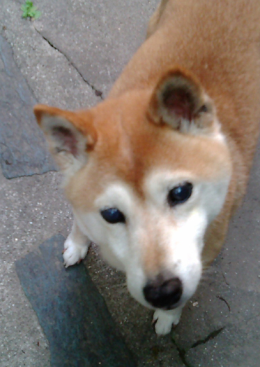 f0000673_18554232.jpg