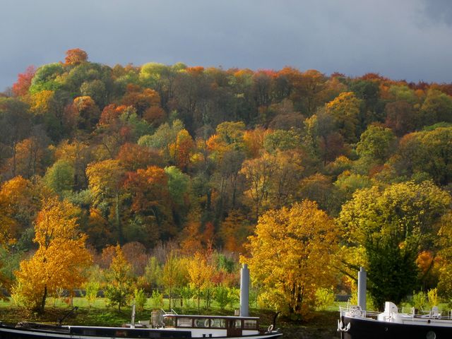 a0104474_0471183.jpg