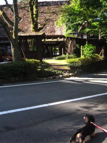 d0143284_47163.jpg