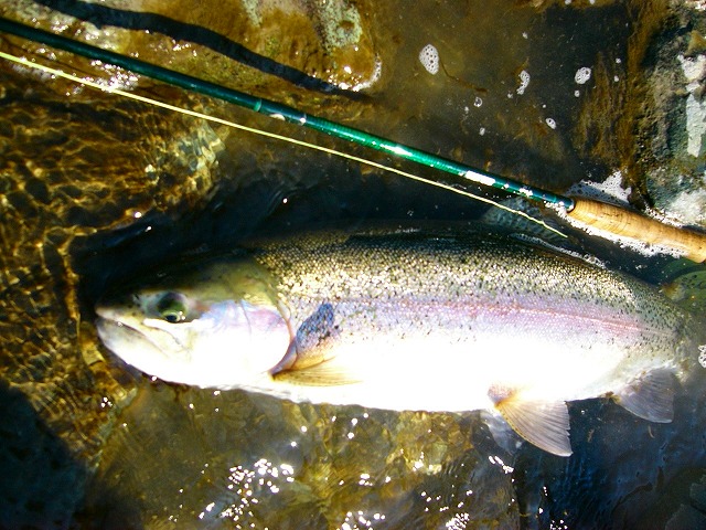 e0202393_21325547.jpg