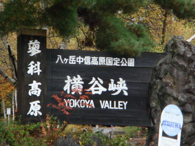 d0098295_023092.jpg