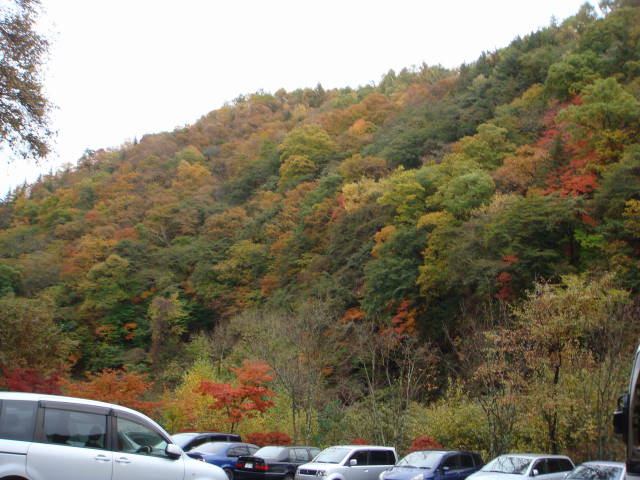 d0098295_061017.jpg