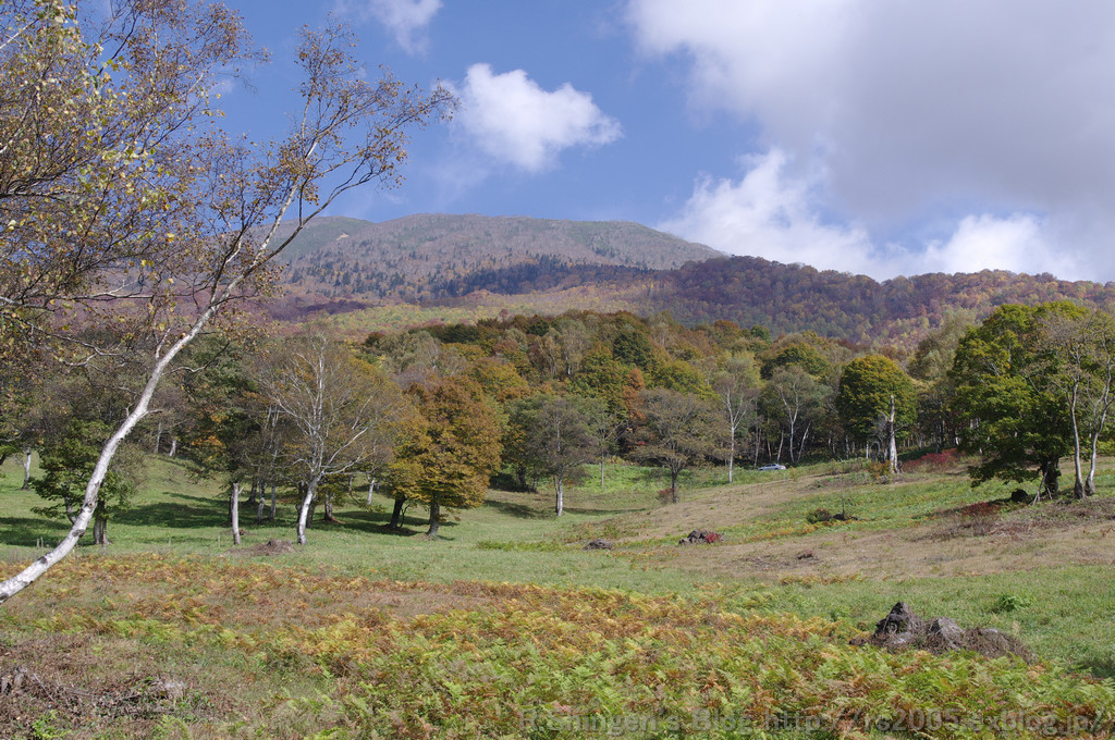 c0025498_0123942.jpg