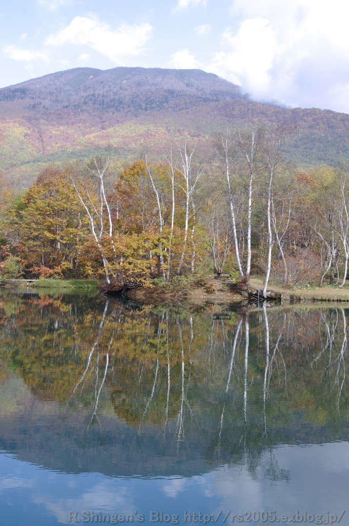 c0025498_013335.jpg