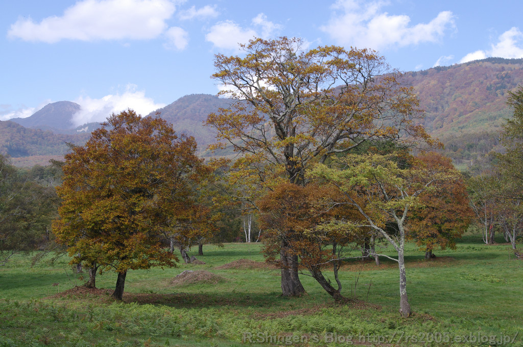 c0025498_0134140.jpg