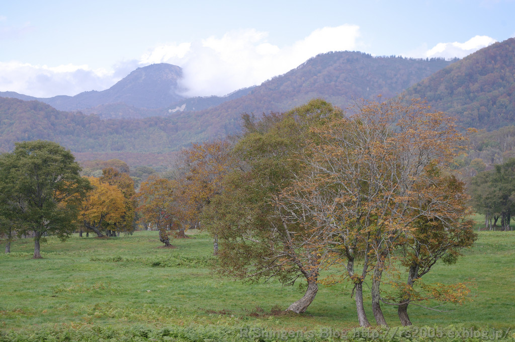 c0025498_0135329.jpg