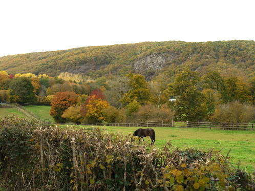 c0090198_4195072.jpg