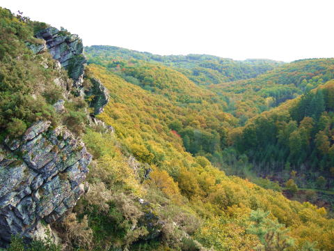 c0090198_4282666.jpg