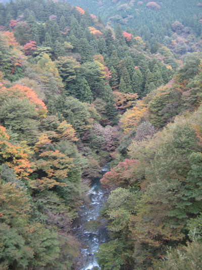 b0097200_2212386.jpg