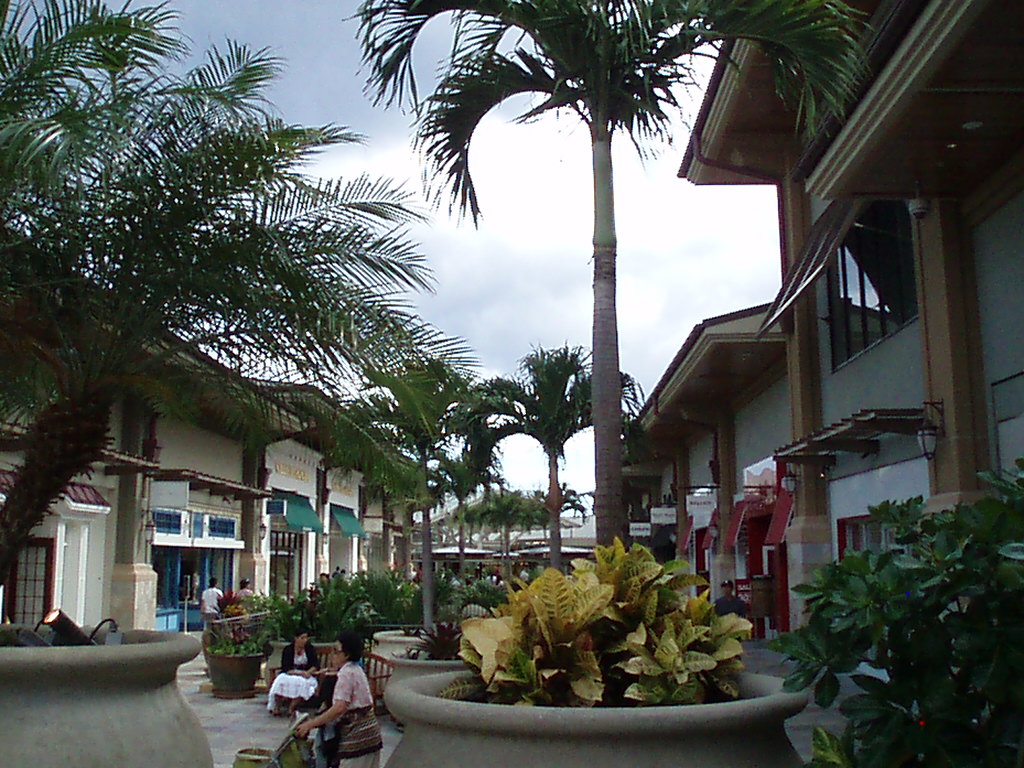 f0005602_1726345.jpg