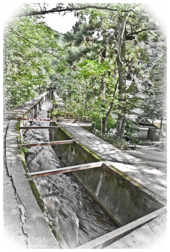 f0220502_19252265.jpg