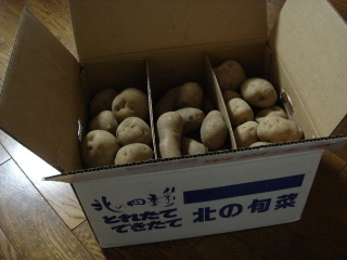 f0213805_275015.jpg