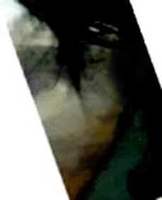 e0103408_12533547.gif