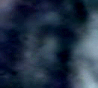 e0103408_1311653.gif
