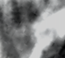 e0103408_1312657.gif
